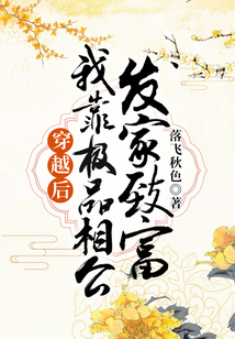 穿越后，我靠极品相公发家致富