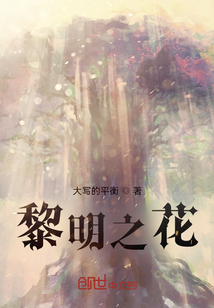黎明之花：王葬