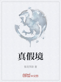 真假境