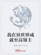 我在异世界成就至高领主在线阅读