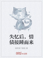 失忆后,情债接踵而来在线阅读