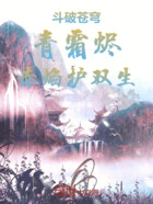 斗破苍穹:青霜烬,赤焰护双生在线阅读
