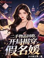 二手物品回收，开局揭穿假名媛在线阅读