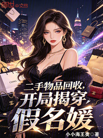二手物品回收，开局揭穿假名媛