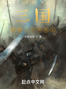 三國英豪之少年死士