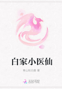 白家小醫仙