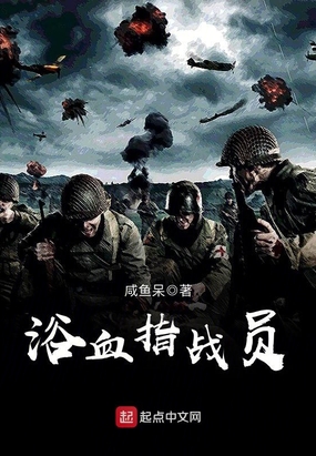 浴血指战员在线阅读