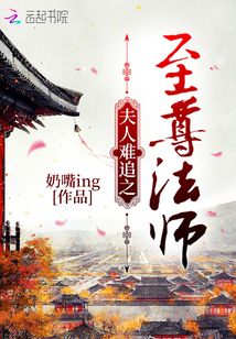 夫人难追之至尊法师