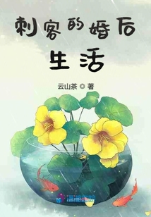 刺客的婚后生活