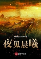 夜见晨曦在线阅读