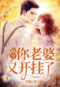 陸少你老婆又開掛了