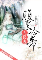 腹黑冷帝无良妻