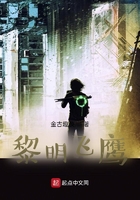 黎明飞鹰在线阅读