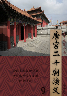 晚清民国小说:唐宫二十朝演义(9)