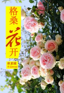 格桑花开