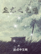 盘龙之光暗在线阅读