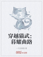 穿越猫武：暮耀曲路在线阅读