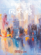那年阳光正好风不燥在线阅读