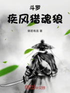 斗罗:疾风猎魂狼在线阅读