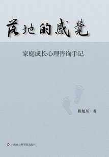 落地的感觉:家庭成长心理咨询手记