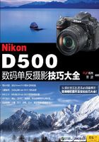 Nikon D500数码单反摄影技巧大全