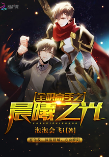 全職高手之晨曦之光