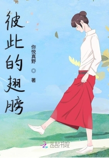 彼此的翅膀