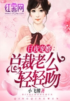 总裁老公轻轻吻在线阅读