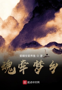 魂?duì)繅?mèng)鄉(xiāng)