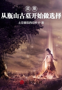 盜墓：從瓶山古墓開始做選擇