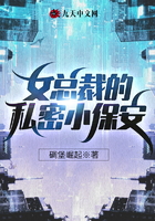 女总裁的私密小保安
