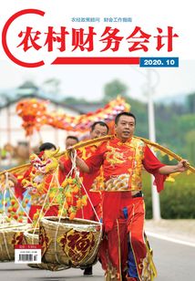 農村財務會計（2020年第10期）
