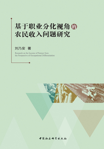 基于職業分化視角的農民收入問題研究