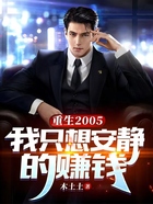 重生2005：我只想安靜的賺錢在線閱讀