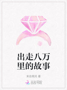出走八万里的故事在线阅读
