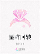 星眸回转在线阅读