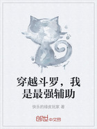 穿越斗罗,我是最强辅助在线阅读