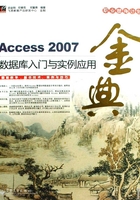 Access 2007数据库入门与实例应用金典