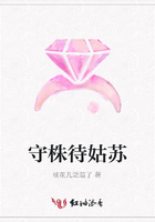 守株待姑蘇在線閱讀