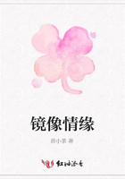 鏡像情緣在線閱讀