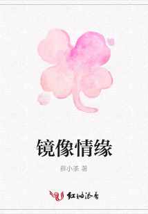 鏡像情緣
