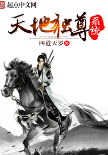 天地獨尊系統