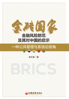 金砖国家金融风险防范及其对中国的启示：一种公共管理与系统论视角