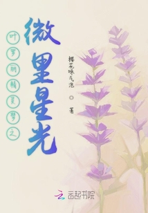 葉羅麗精靈夢之微里星光