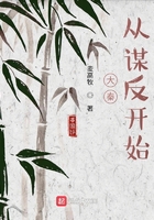 大秦从谋反开始在线阅读