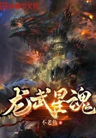 龙武星魂