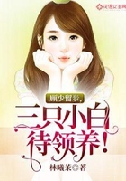 顾少留步，三只小白待领养！在线阅读