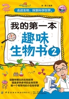 我的第一本趣味生物书2在线阅读