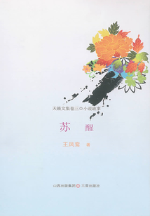 蘇醒（天籟文集·小說故事）