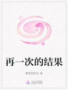 再一次的结果在线阅读